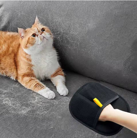 Fur Remover Glove (Private Listing U1175793)